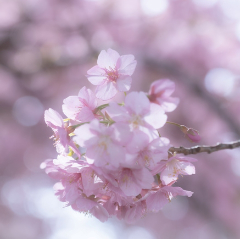 （株）永田商会